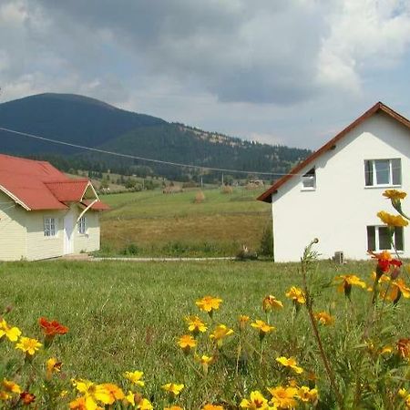 Casa Ana Vatra Dornei Villa Dealu Floreni Exterior foto