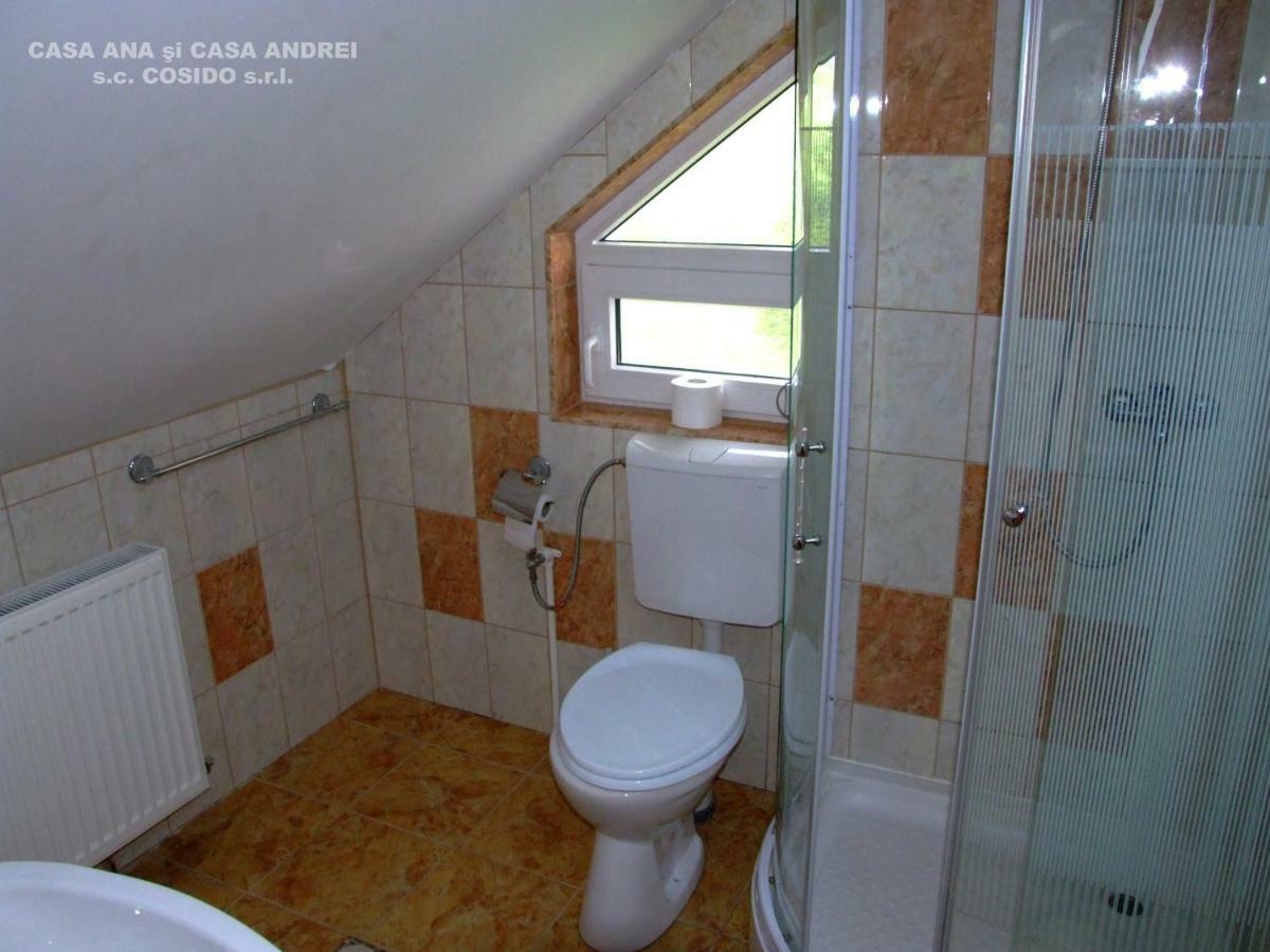 Casa Ana Vatra Dornei Villa Dealu Floreni Exterior foto