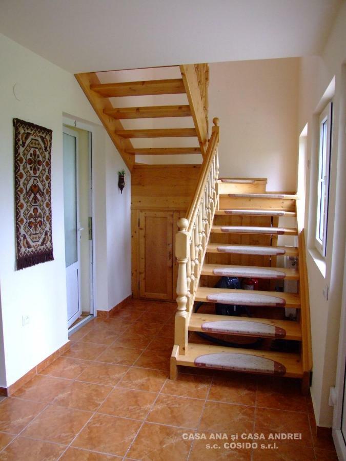 Casa Ana Vatra Dornei Villa Dealu Floreni Exterior foto