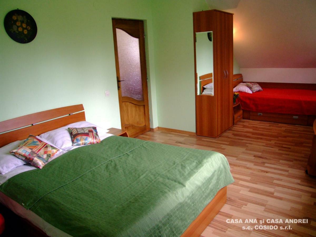 Casa Ana Vatra Dornei Villa Dealu Floreni Exterior foto