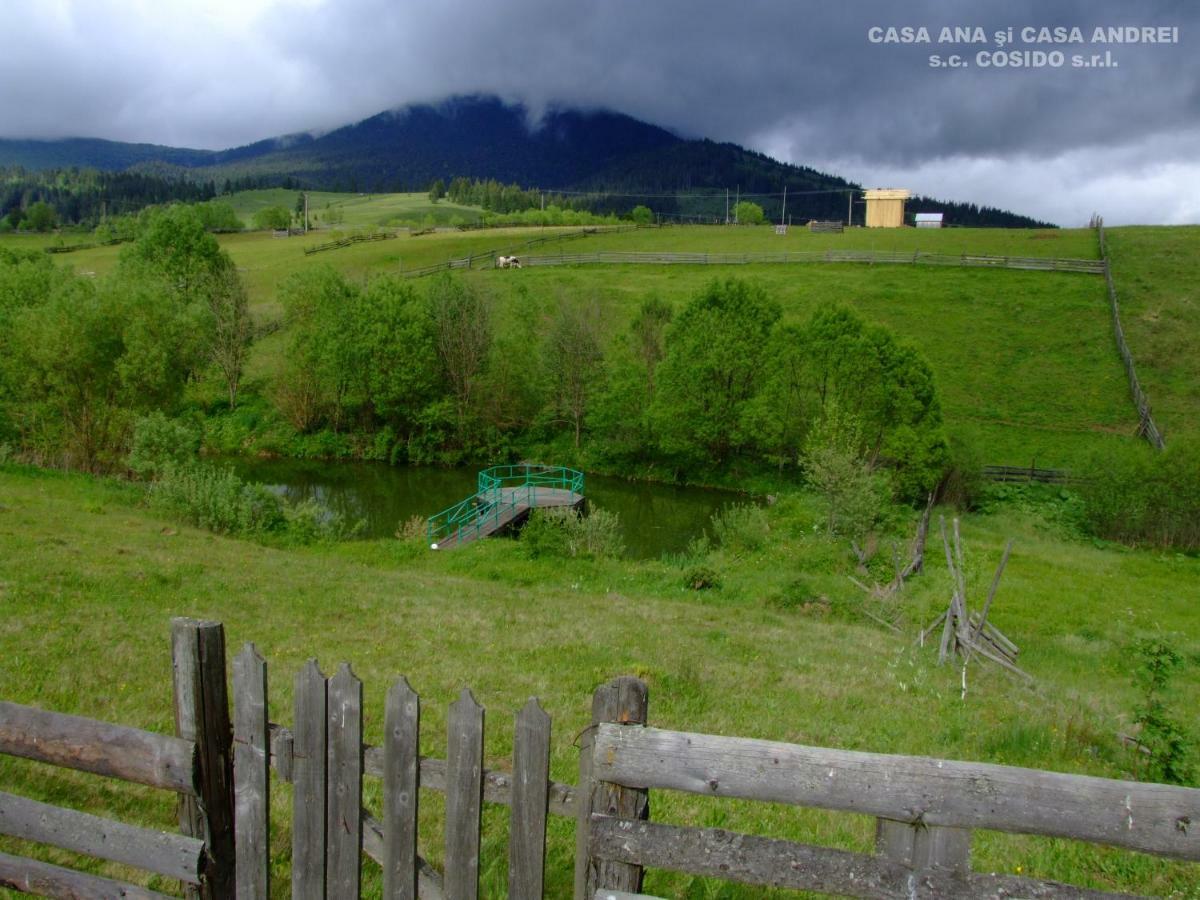 Casa Ana Vatra Dornei Villa Dealu Floreni Exterior foto