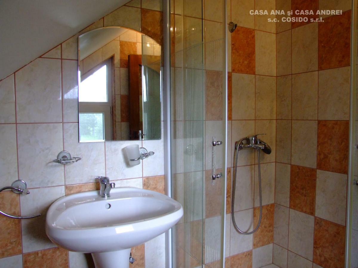 Casa Ana Vatra Dornei Villa Dealu Floreni Exterior foto