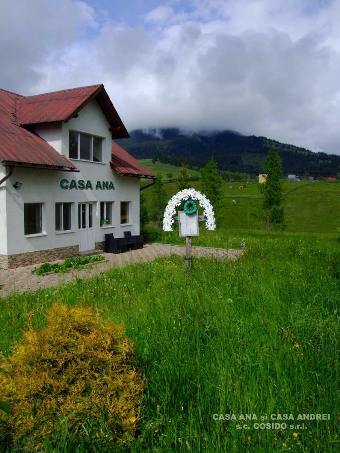 Casa Ana Vatra Dornei Villa Dealu Floreni Exterior foto